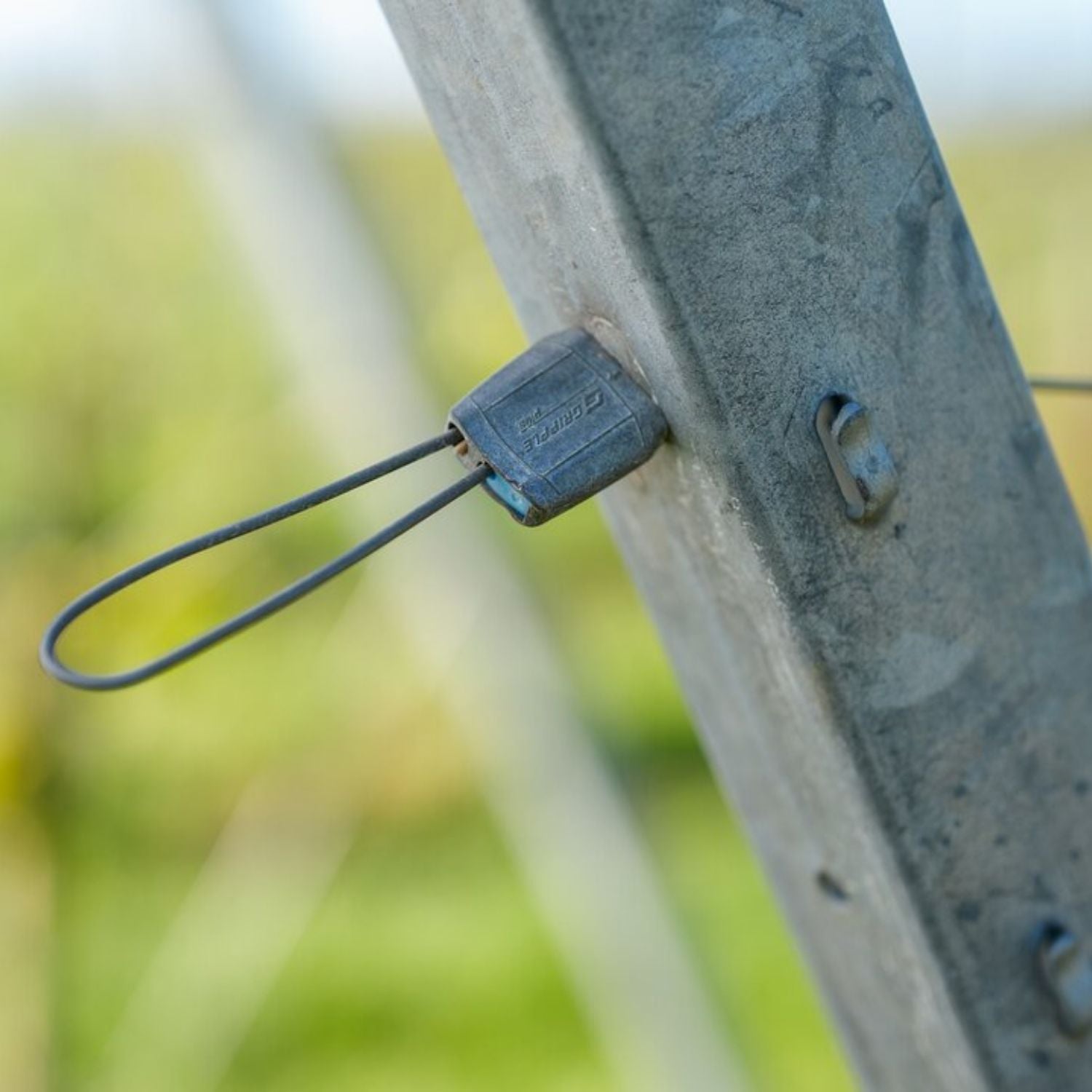 Close-up profile view of a Gripple GP tensioner fitting flush against a galvanized metal trellis post, highlighting the secure end stop alignment.