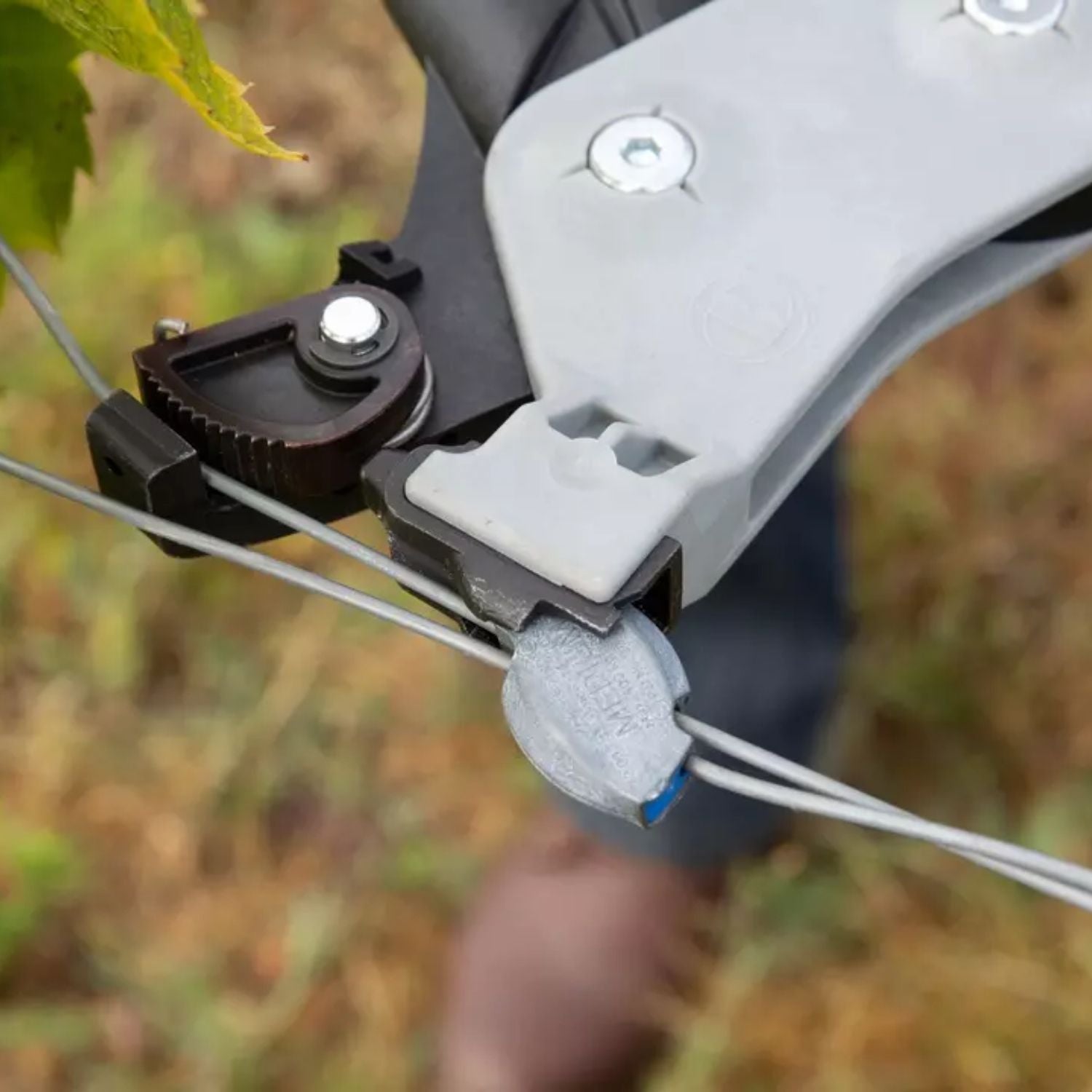 Close-up of the Gripple tensioning tool jaw being used outdoors to apply precise tension on a wire trellis system with a Gripple Medium wire joiner.